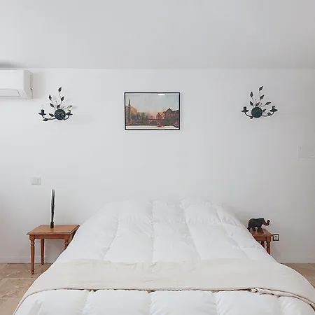 Bas De Anemones By Interhome