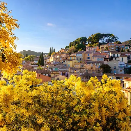 Apartment Bas De Anemones By Interhome *
